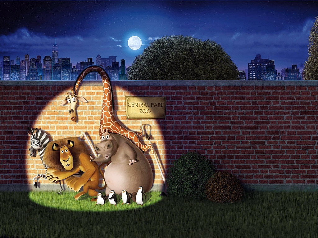 Торта Мадагаскар-0