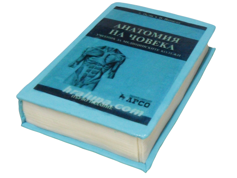 Торта учебник -0